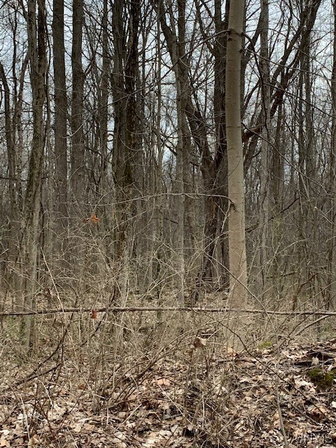 Undisclosed Address Jordan, NY 13080 - Photo 9 of 10