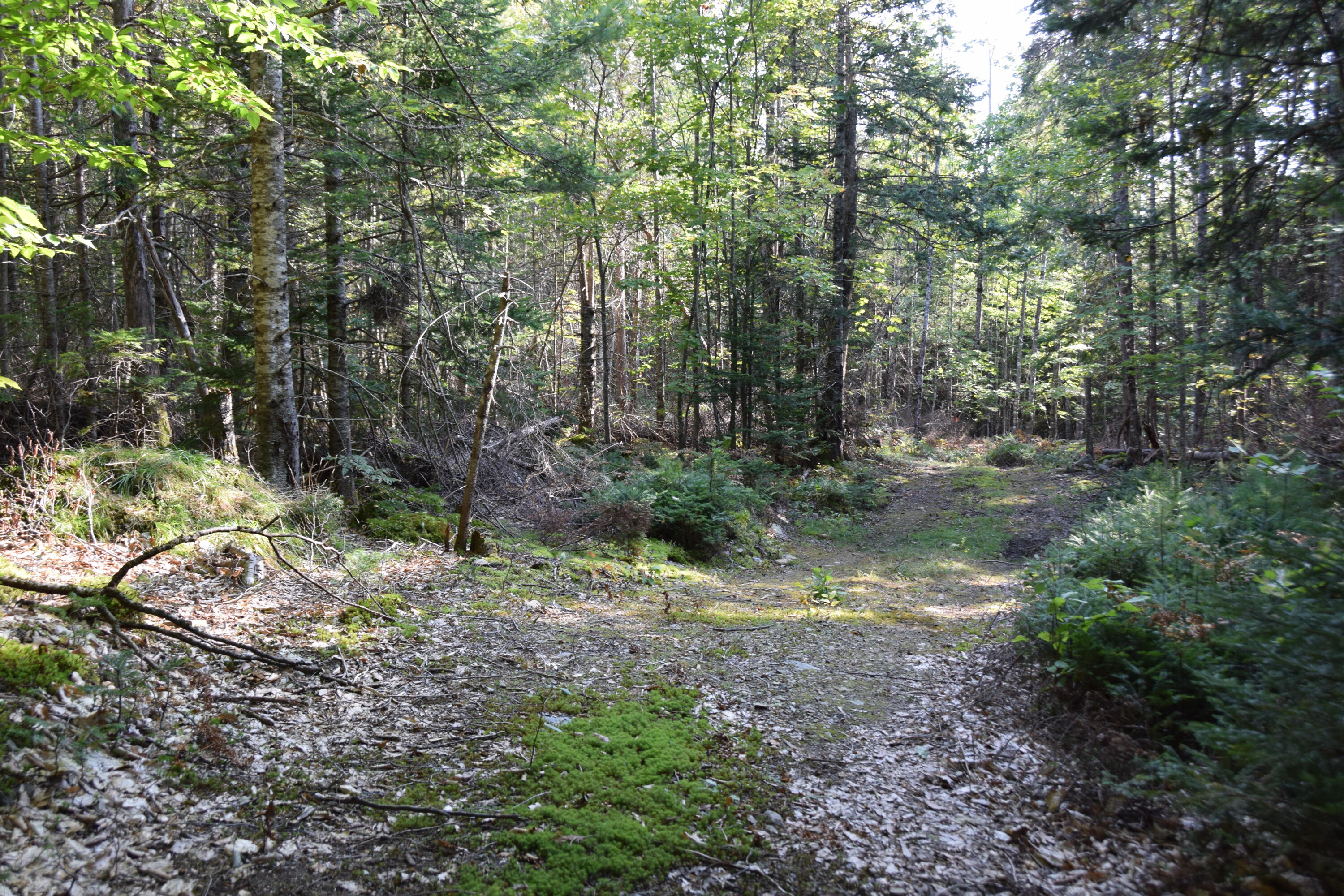90 Tenney Hill Road Monson, ME 04464 - Photo 18 of 23 DSC_0018
