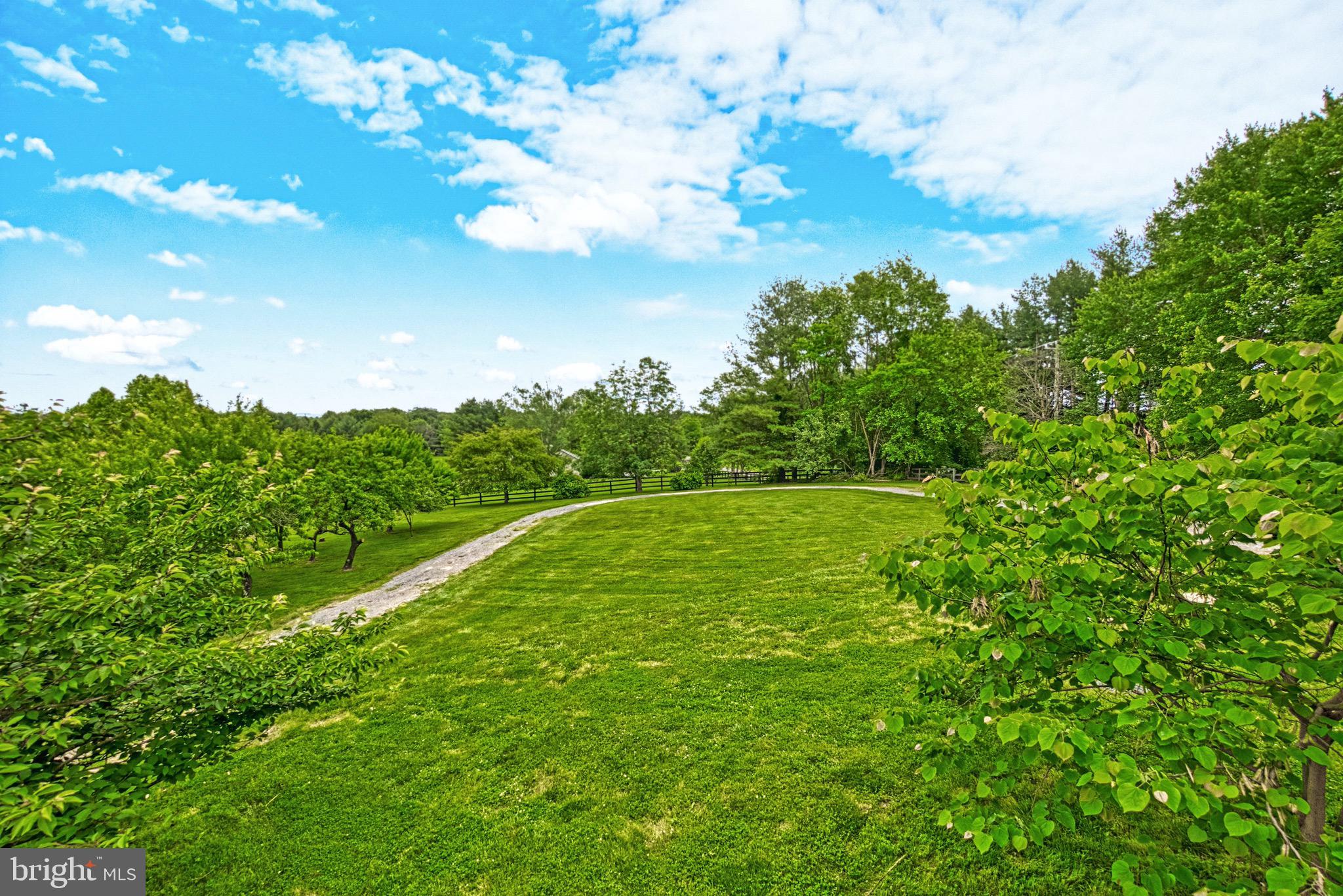 36716 North Fork Road Purcellville, VA 20132 - Photo 63 of 78 Gallery Image 63