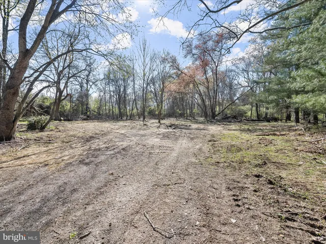 a view of a yard with trees