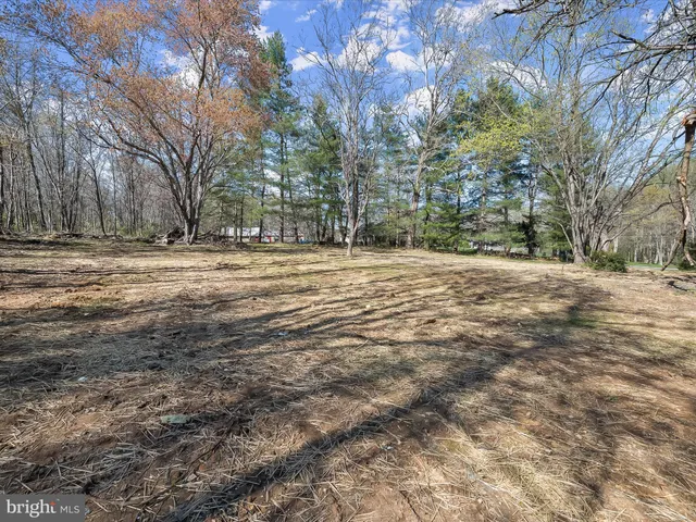 a big yard with trees in the background