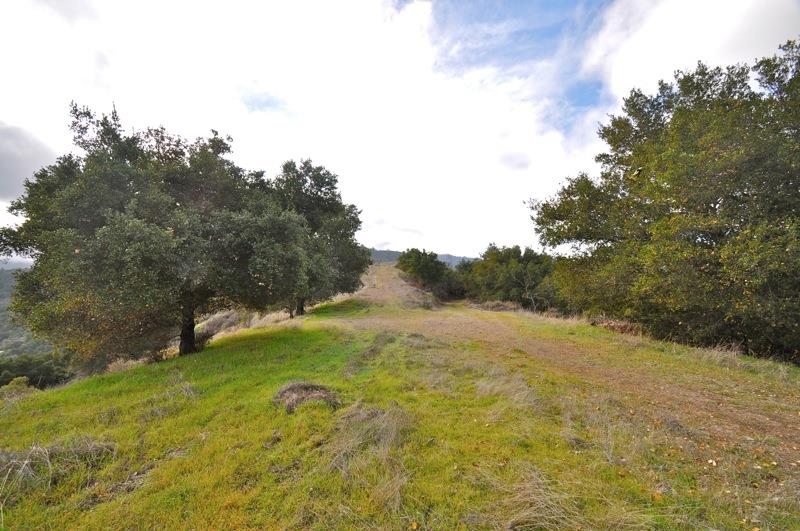 0 Mt Eden Road Saratoga, CA 95070 - Photo 9 of 27