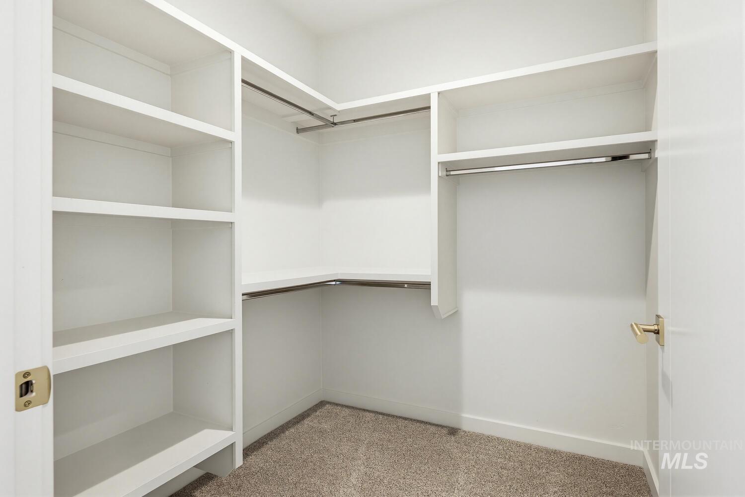 4250 Haystack, Unit 104 Boise, ID 83716 - Photo 20 of 49 Walk in closet featuring light colored carpet
