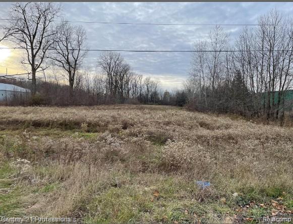 0 Van Dyke Road Almont, MI 48003 - Photo 1 of 2