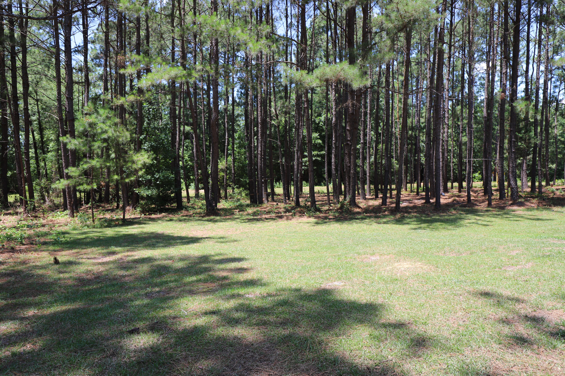 272 Sand Pit Road Aberdeen, NC 28315 - Photo 36 of 38 Backyard