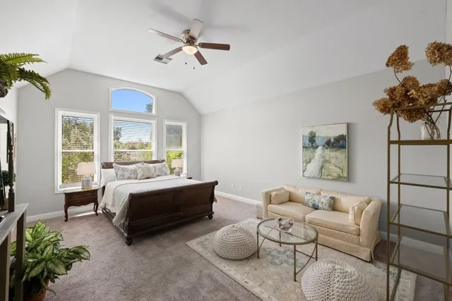 a living room with furniture and a potted plant
