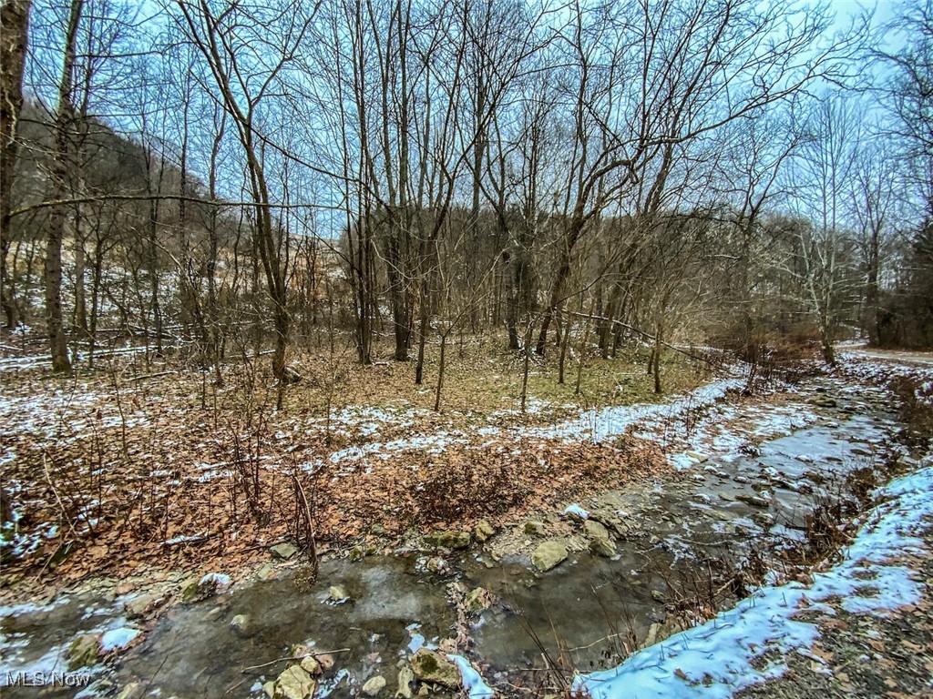 0 Trough Run Road Bellaire, OH 43906 - Photo 1 of 46 Snowy landscape