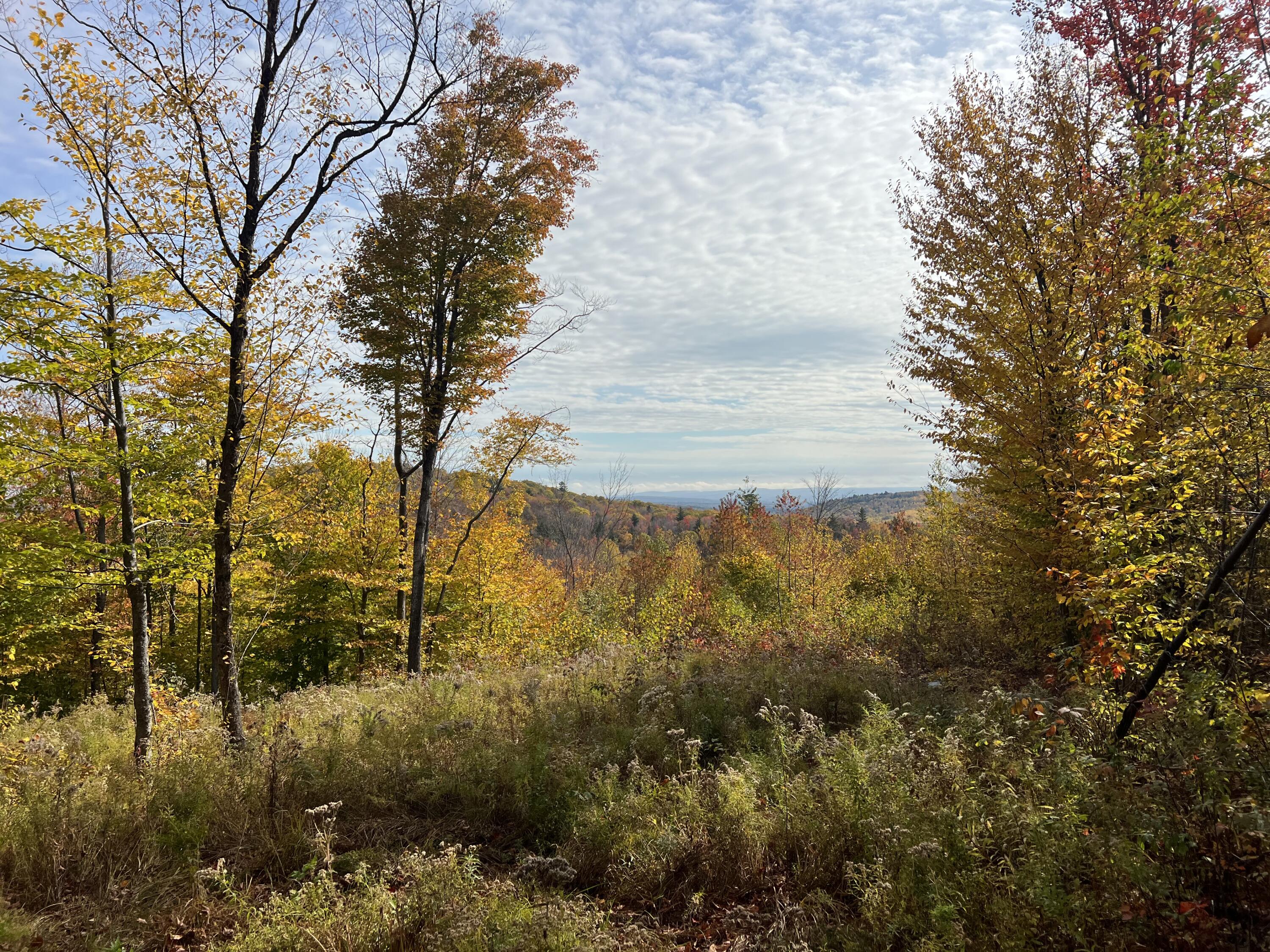 2 East Mountain View Drive Temple, ME 04984 - Photo 4 of 12 IMG_7505