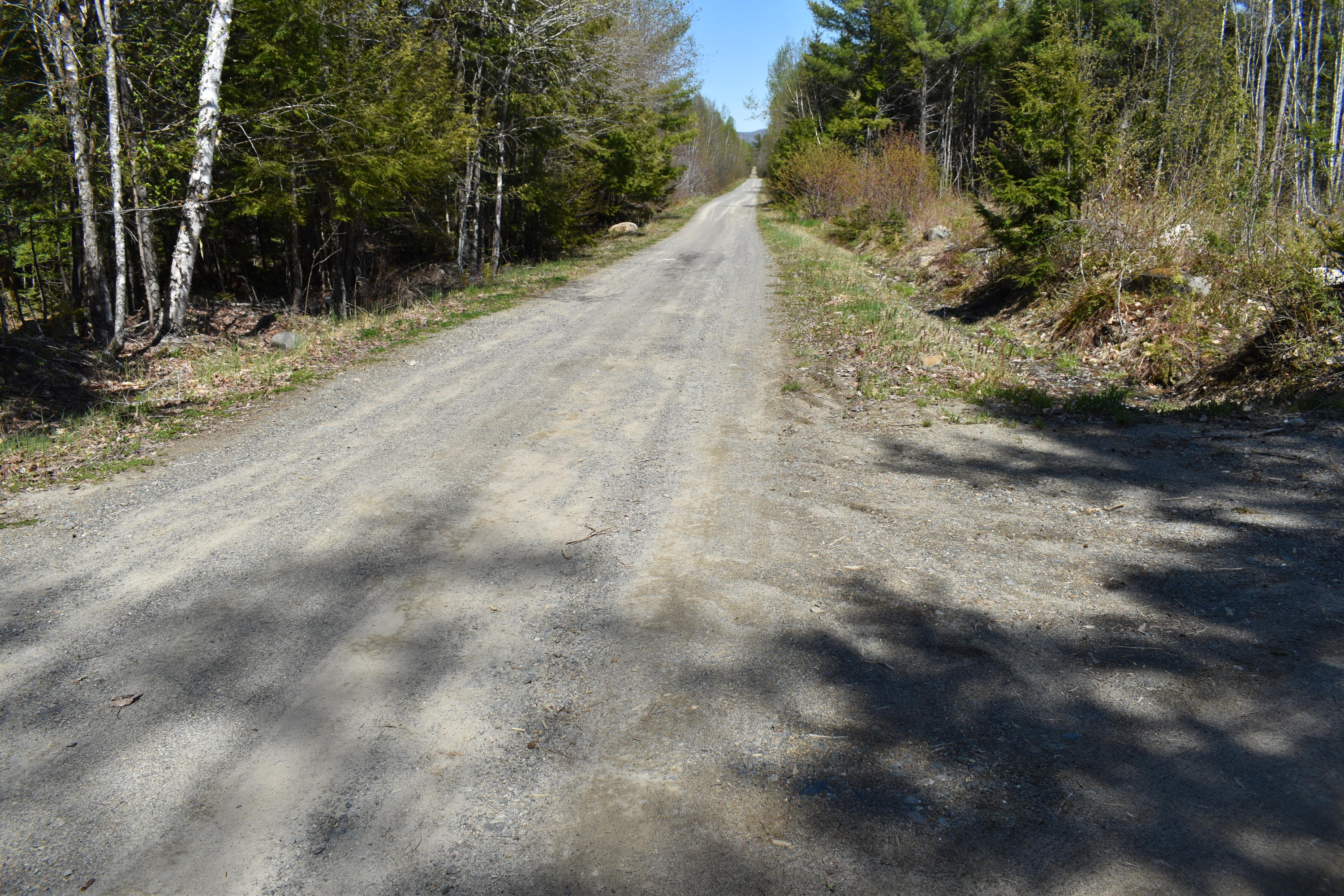 Tbd East Ridge Road Greenbush, ME 04418 - Photo 4 of 9 DSC_0403