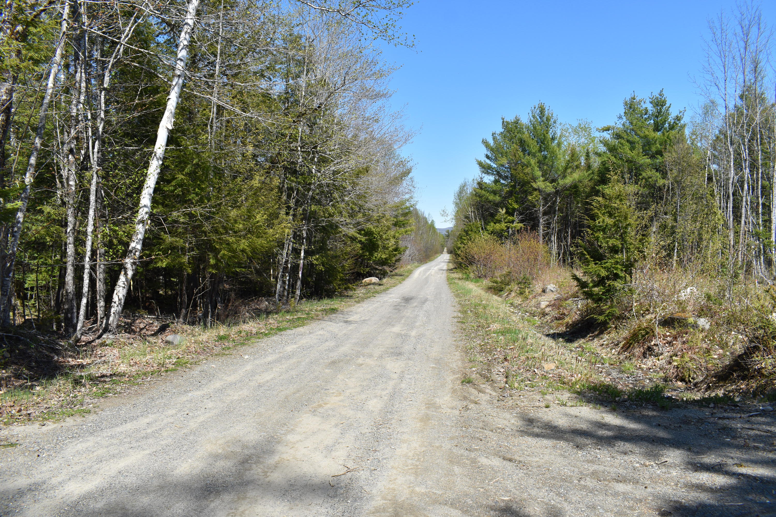 Tbd East Ridge Road Greenbush, ME 04418 - Photo 5 of 9 DSC_0404