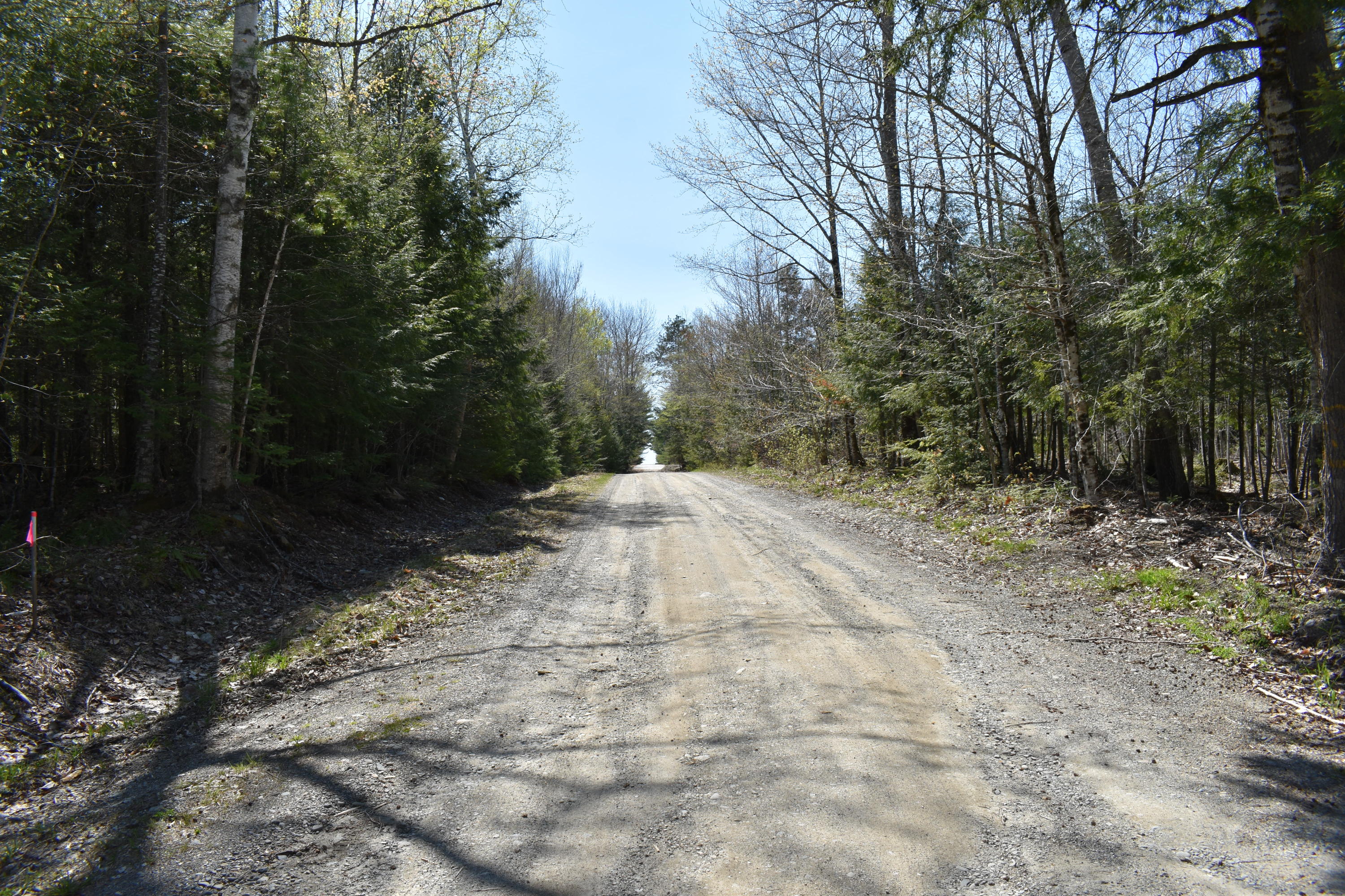 Tbd East Ridge Road Greenbush, ME 04418 - Photo 6 of 9 DSC_0405