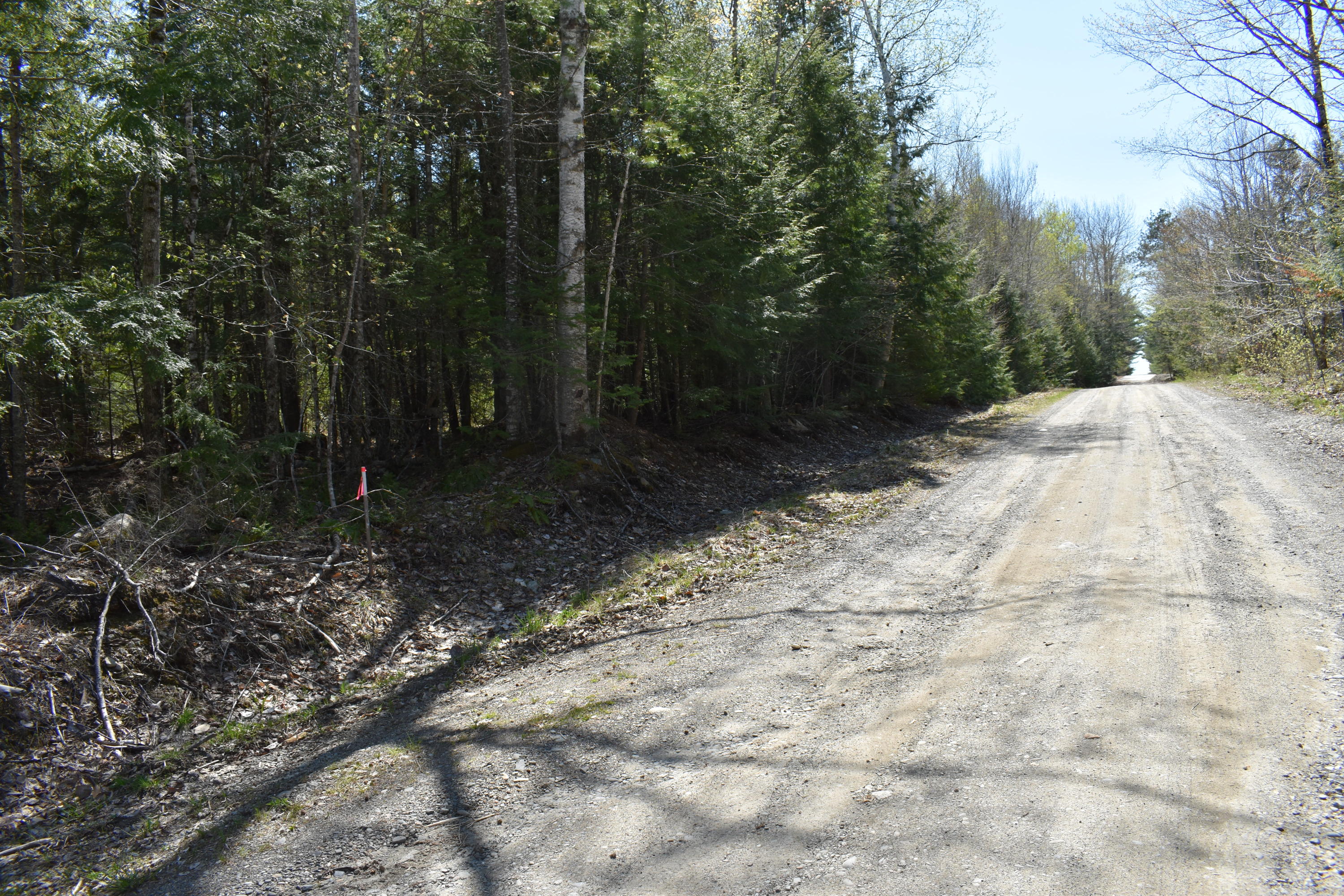 Tbd East Ridge Road Greenbush, ME 04418 - Photo 8 of 9 DSC_0407