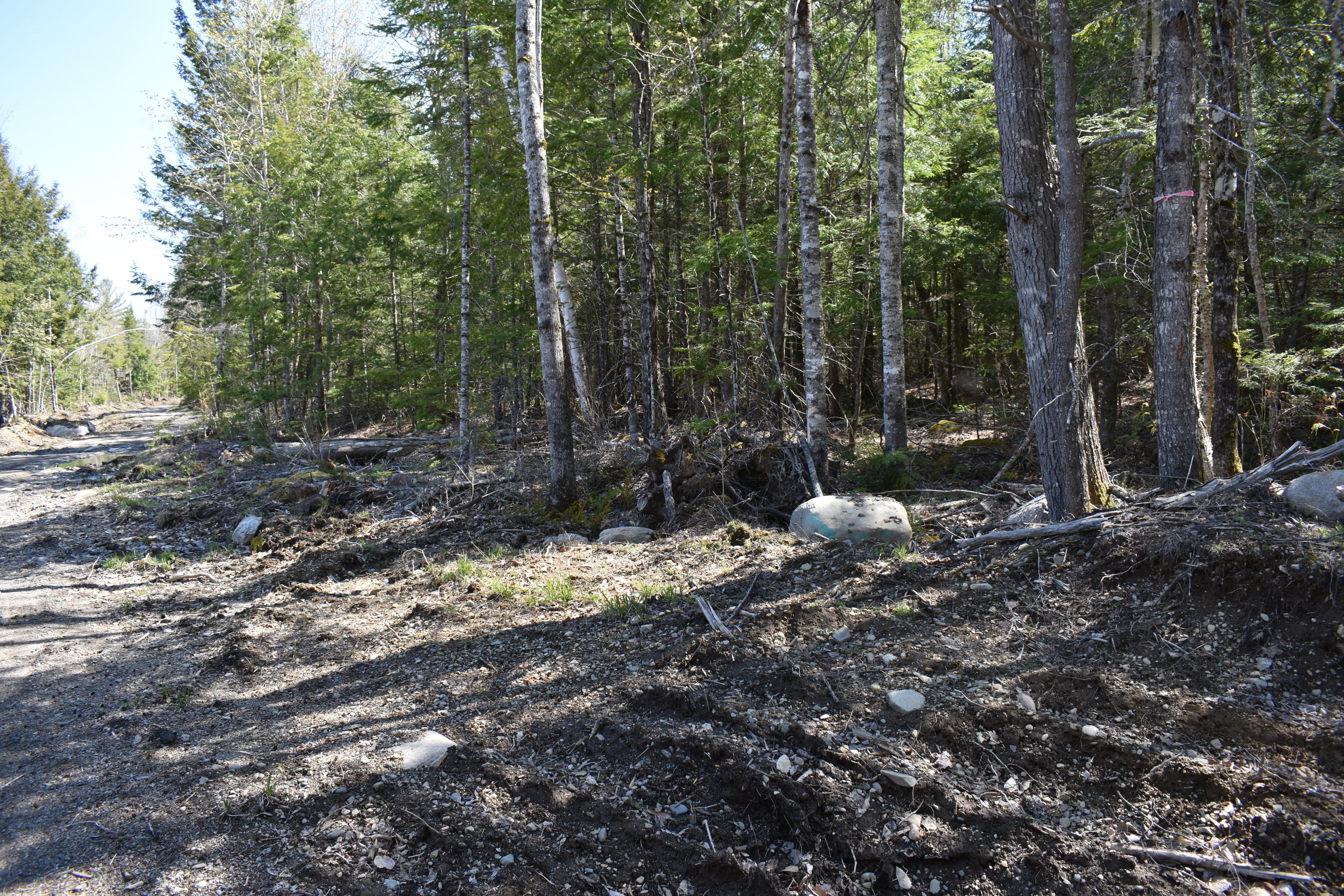 Tbd East Ridge Road Greenbush, ME 04418 - Photo 9 of 9 DSC_0408