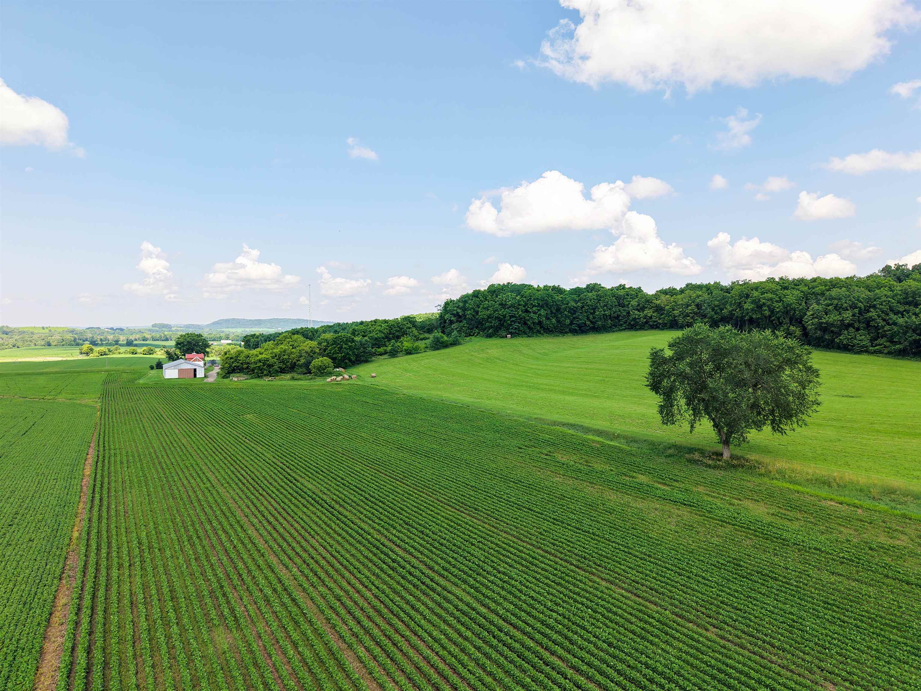 32747 State Highway Muscoda, WI 53573 - Photo 43 of 83