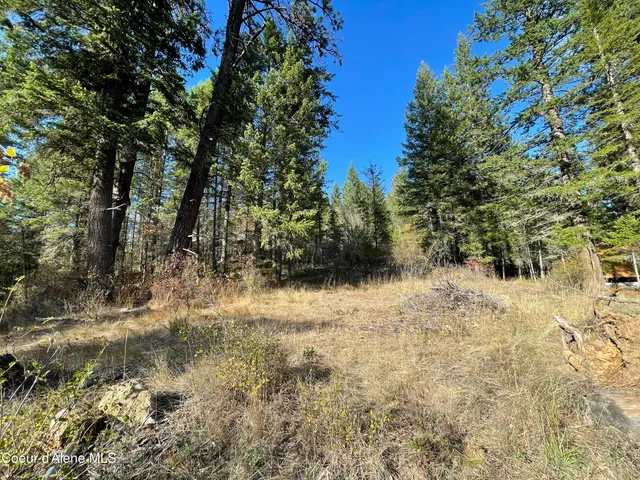 $199,000 | Nna Nna Midlake Drive, Sagle, ID 83860