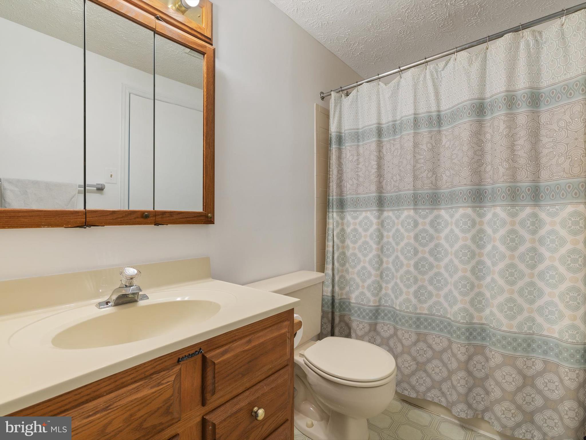 653 Willowby Run Pasadena, MD 21122 - Photo 19 of 31 a bathroom with a sink toilet and a mirror