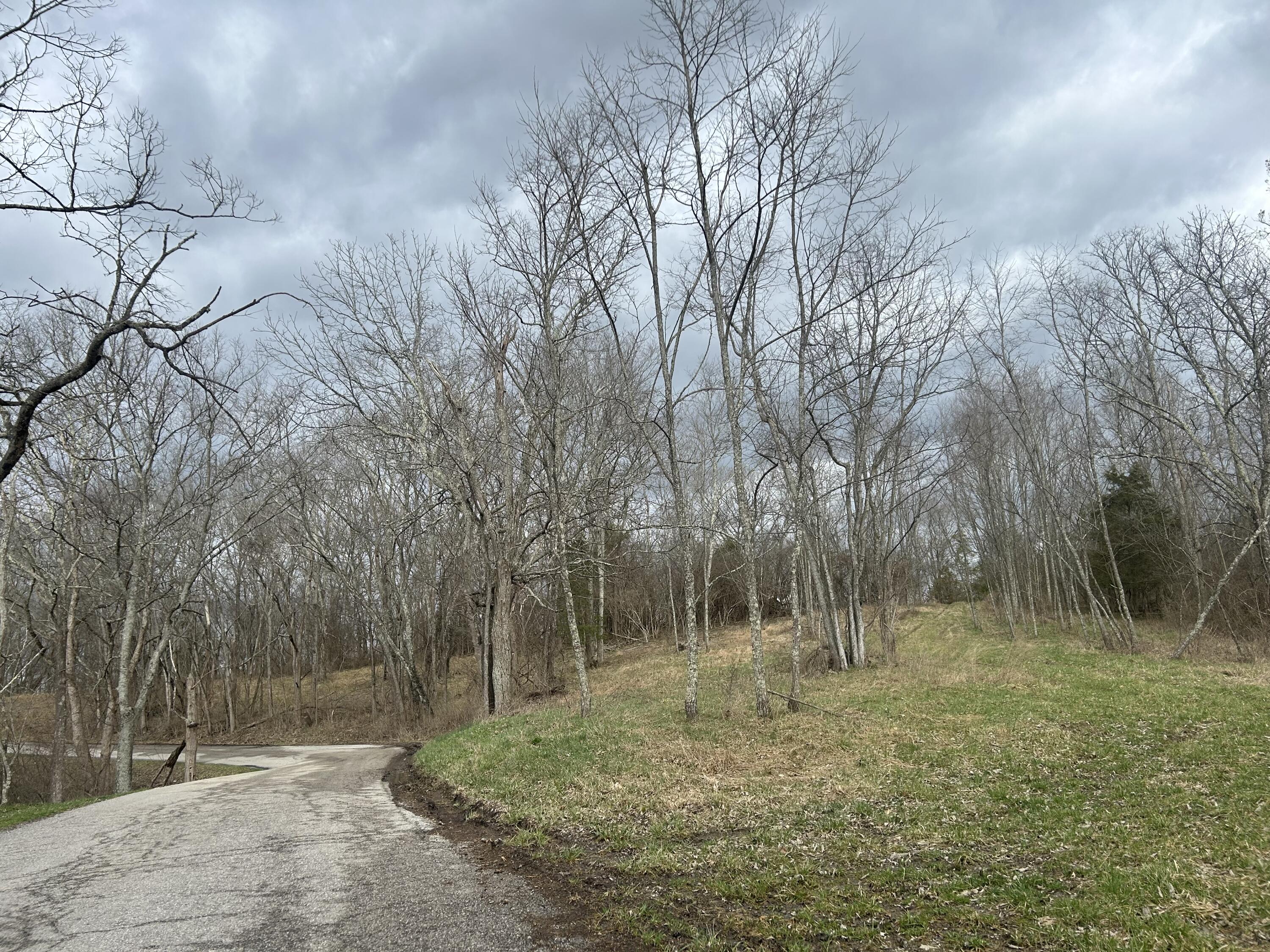 Lot # New Zion Road Falmouth, KY 41040 - Photo 2 of 9