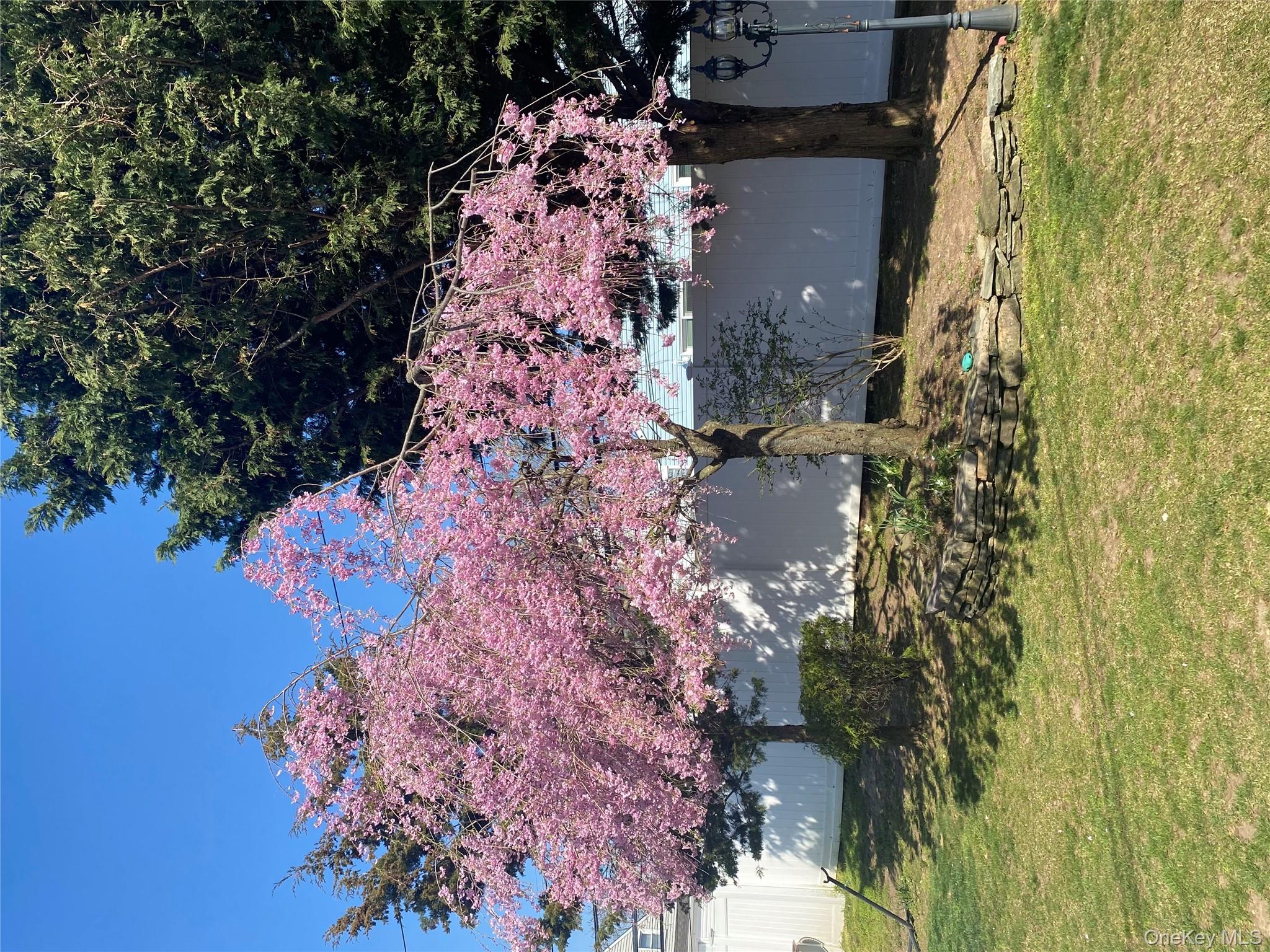 103 Ranch Lane Levittown, NY 11756 - Photo 4 of 7