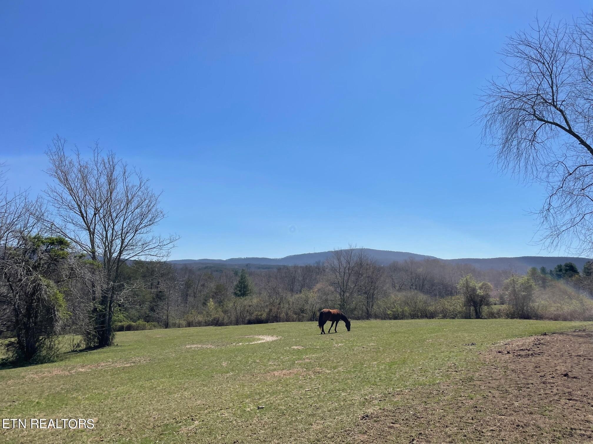 0 Open Range 6.43 Ac Road Crossville, TN 38555 - Photo 1 of 24
