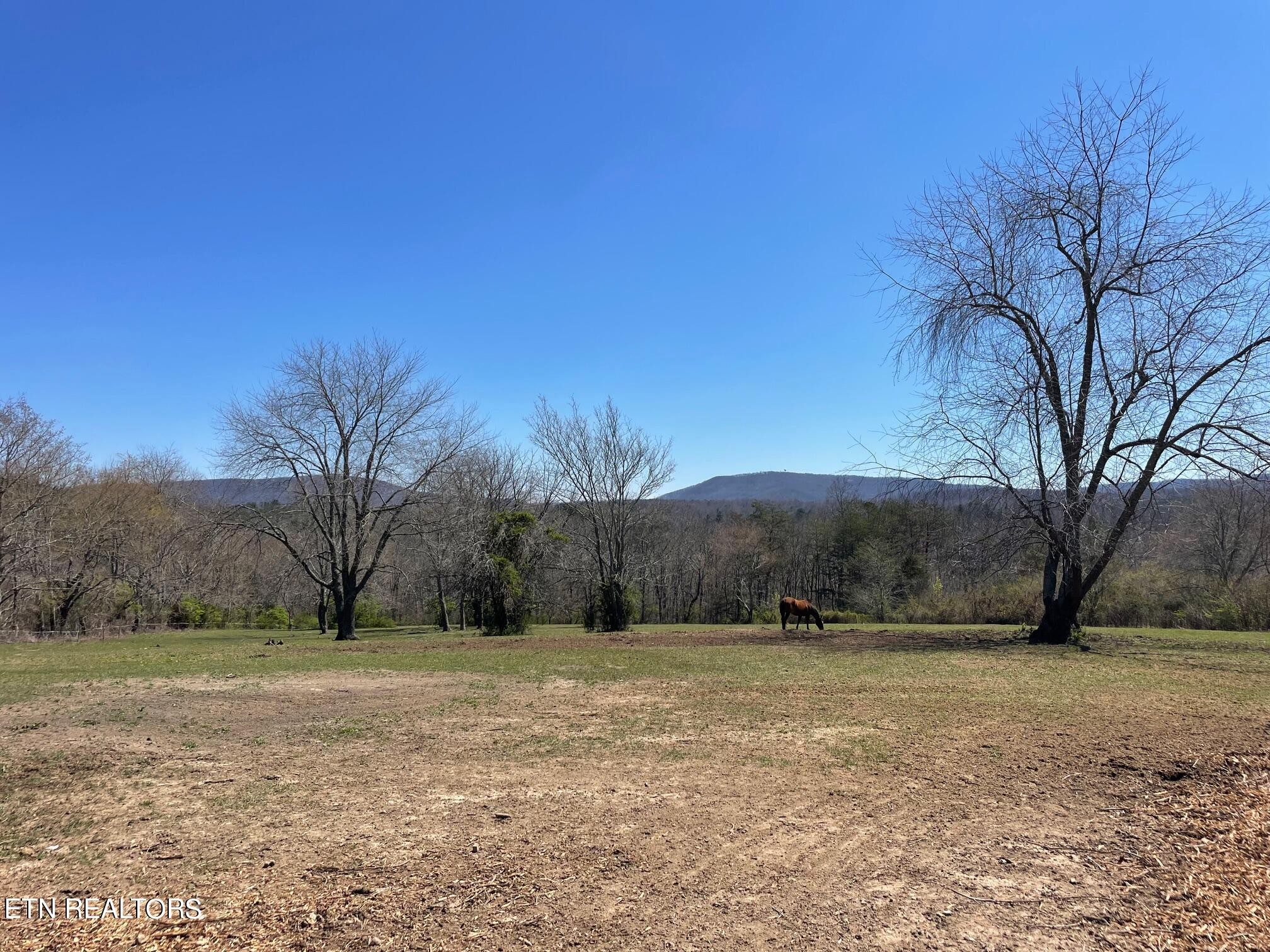 0 Open Range 6.43 Ac Road Crossville, TN 38555 - Photo 13 of 24