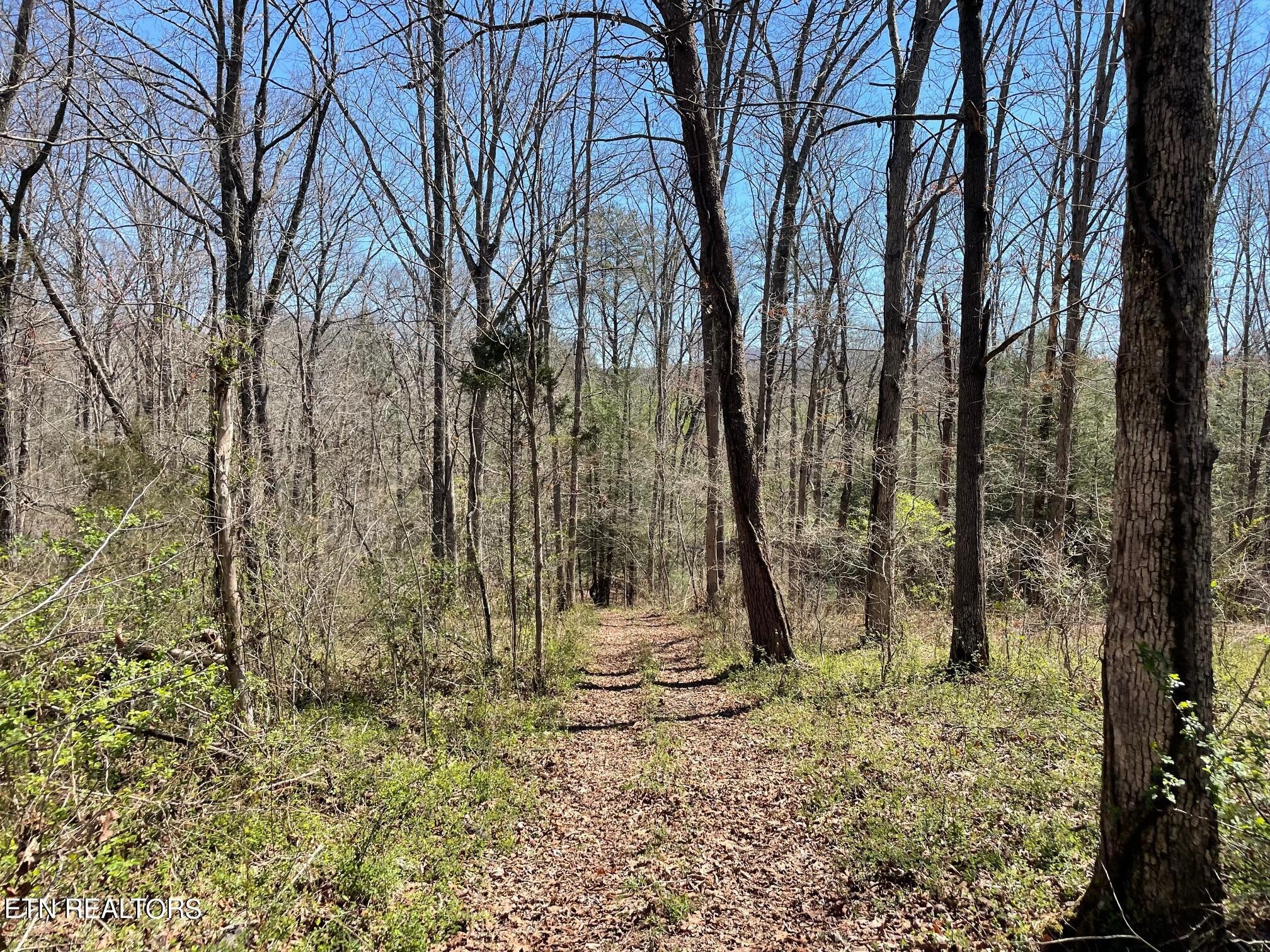 0 Open Range 6.43 Ac Road Crossville, TN 38555 - Photo 17 of 24