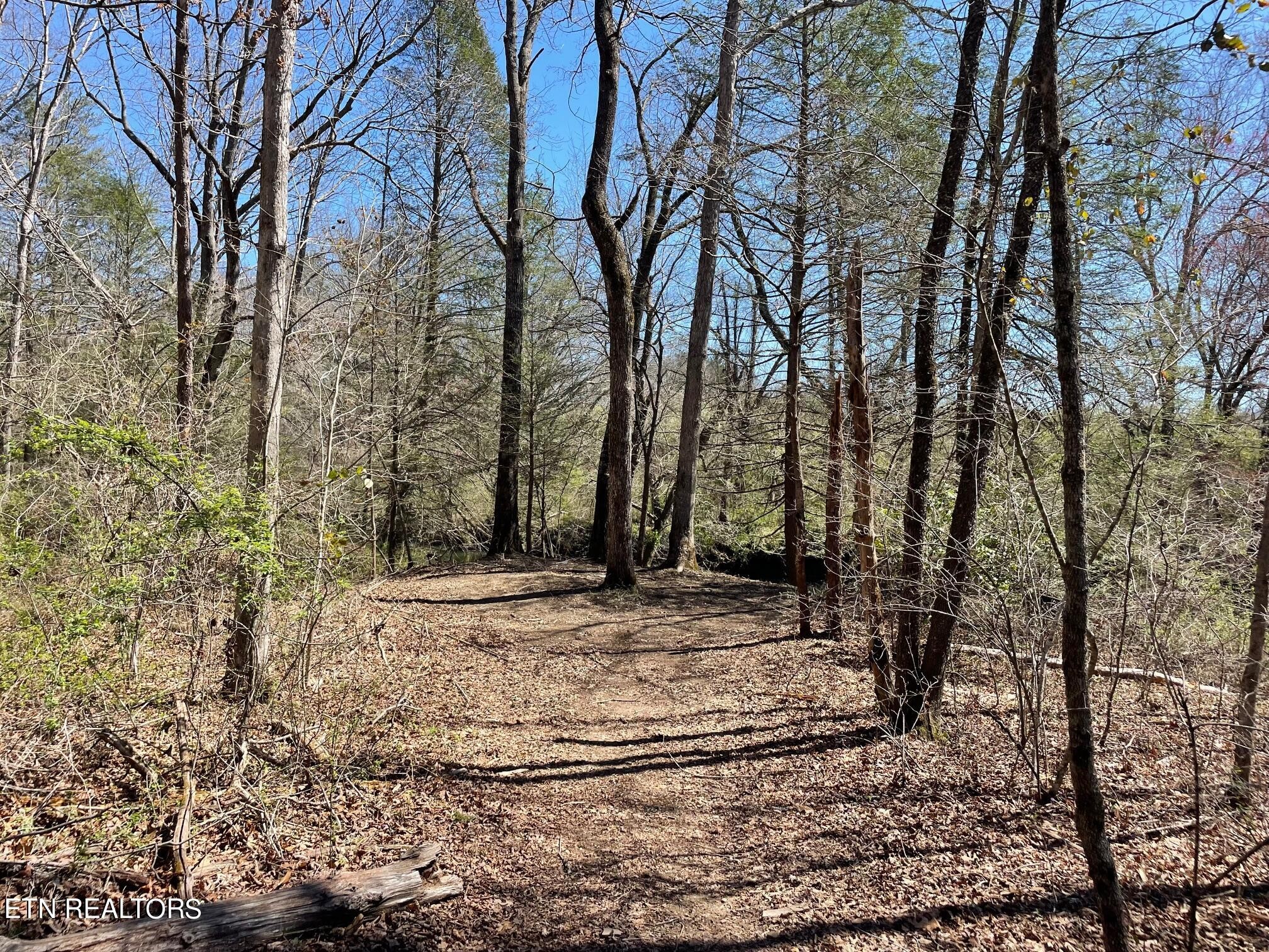 0 Open Range 6.43 Ac Road Crossville, TN 38555 - Photo 18 of 24