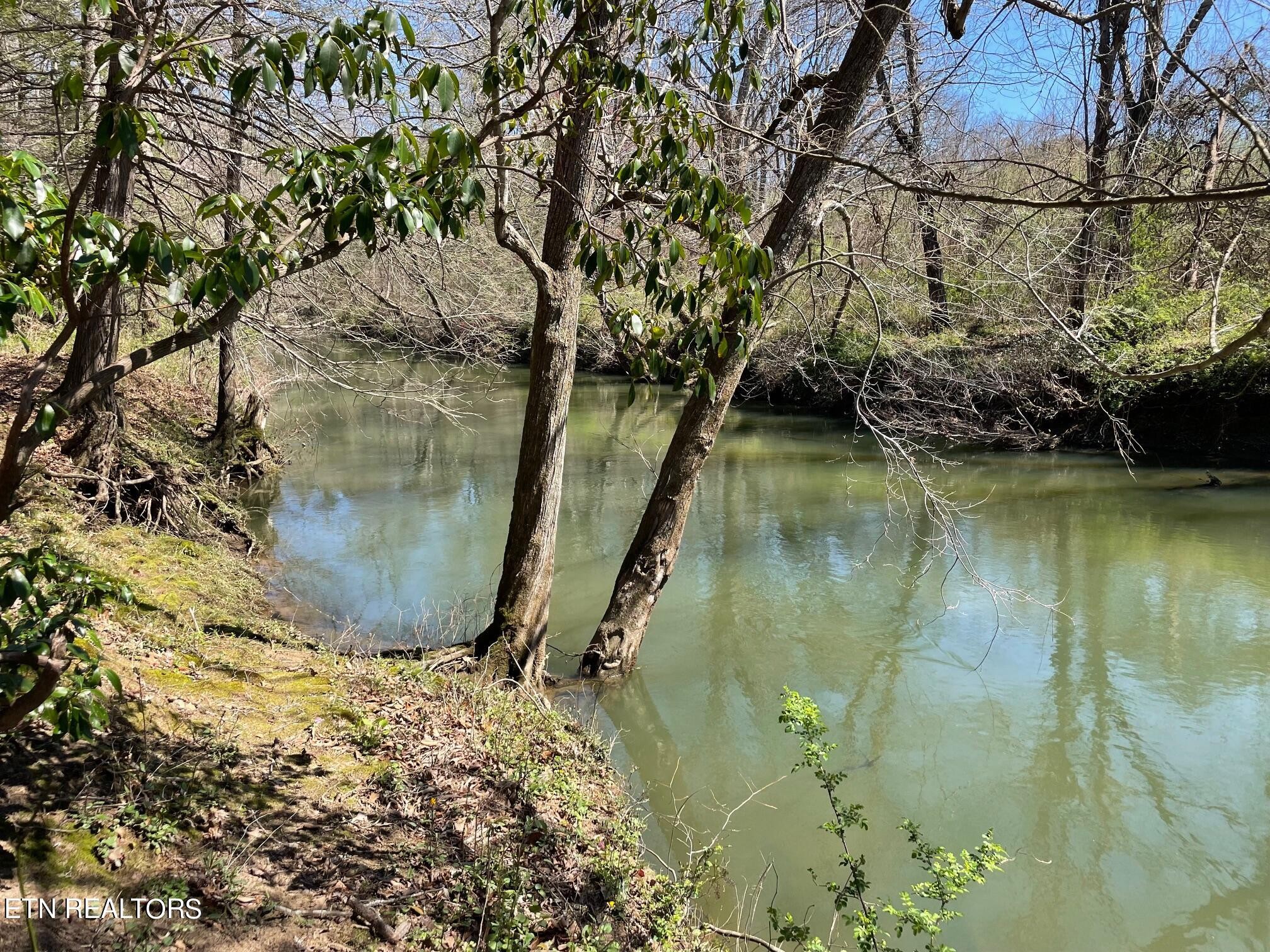 0 Open Range 6.43 Ac Road Crossville, TN 38555 - Photo 19 of 24