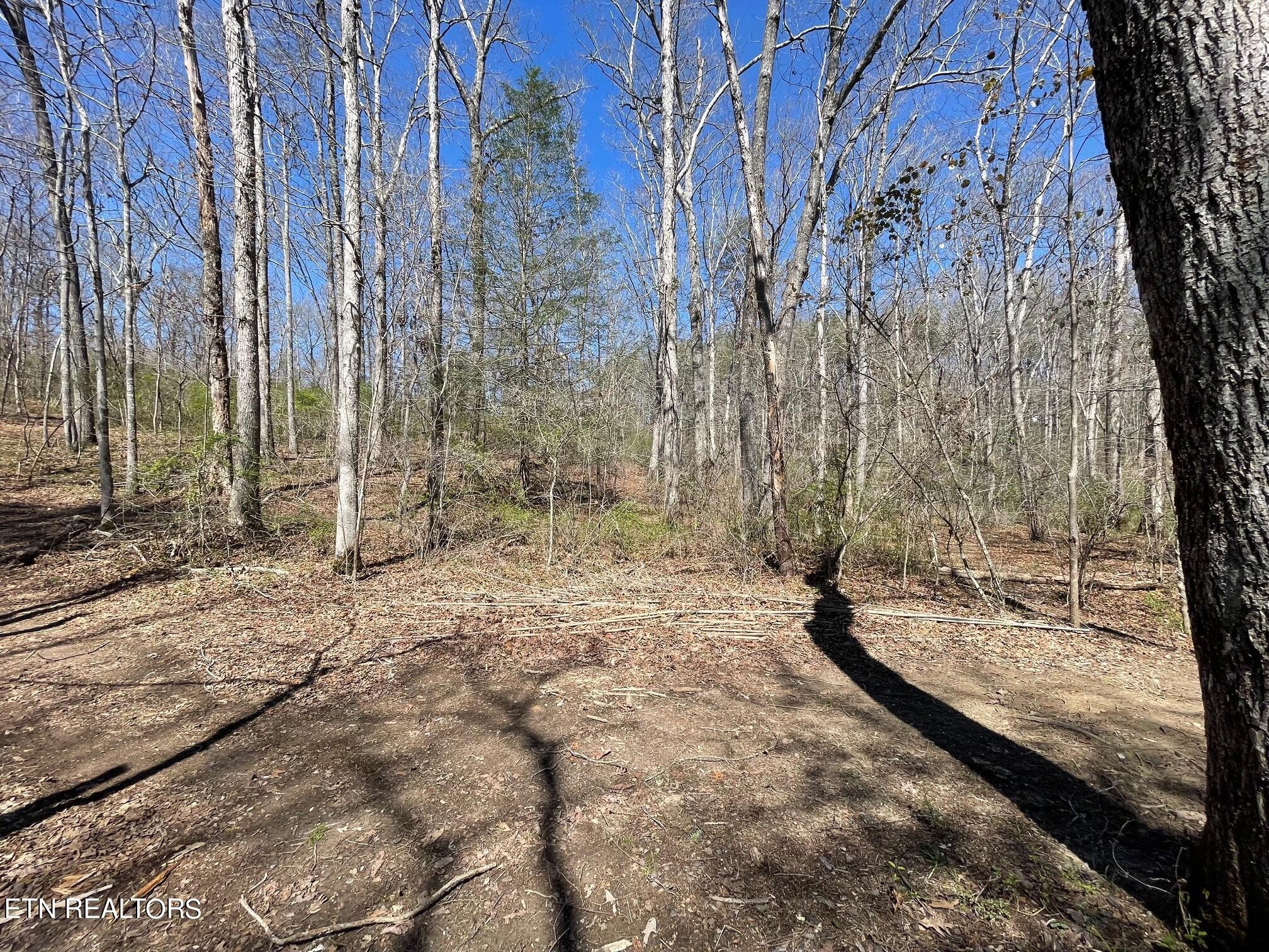 0 Open Range 6.43 Ac Road Crossville, TN 38555 - Photo 23 of 24