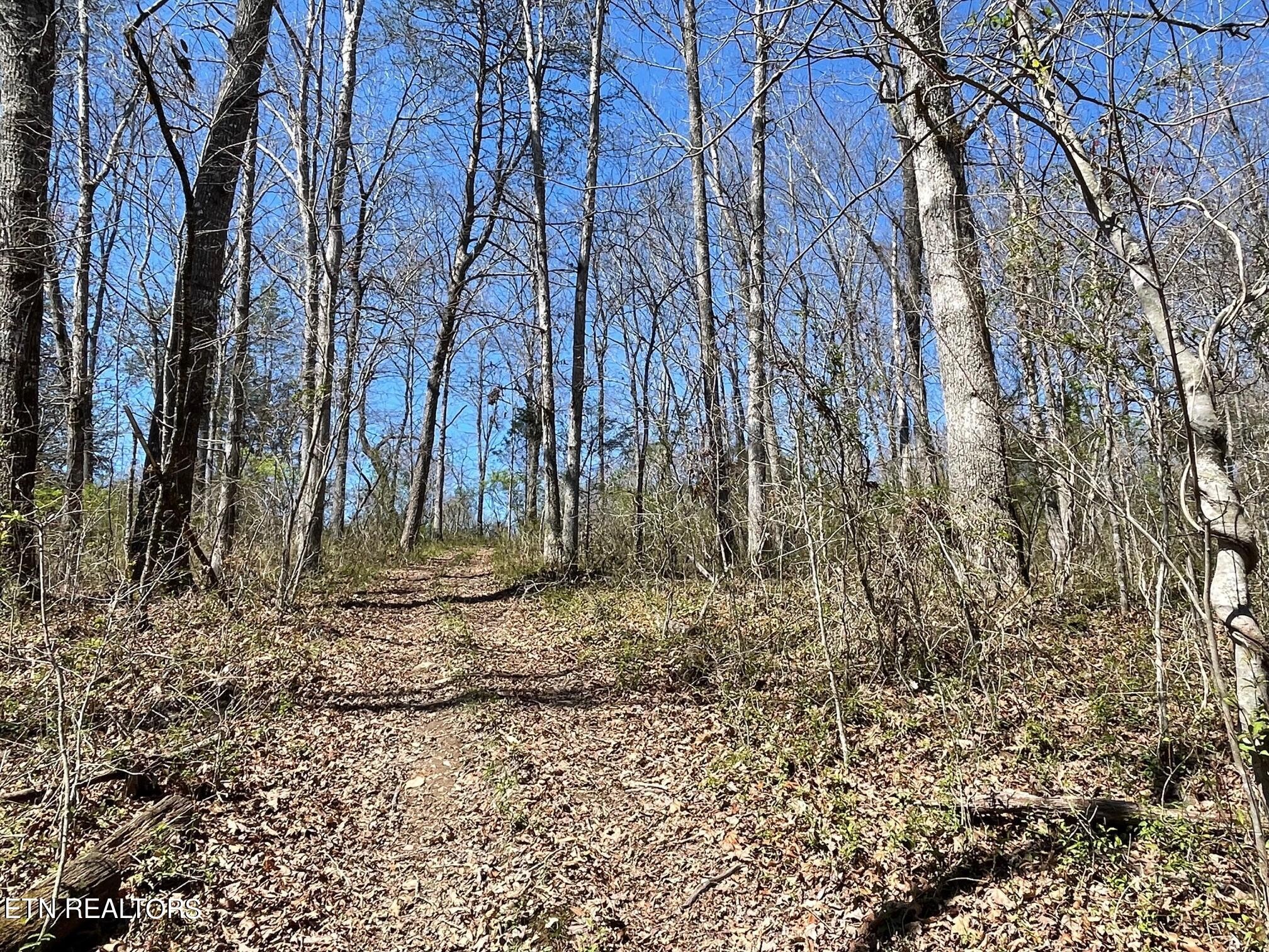 0 Open Range 6.43 Ac Road Crossville, TN 38555 - Photo 24 of 24