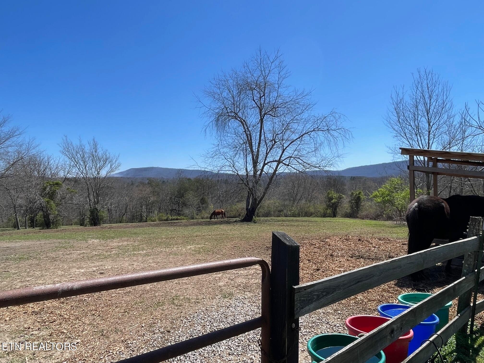 0 Open Range 6.43 Ac Road Crossville, TN 38555 - Photo 5 of 24