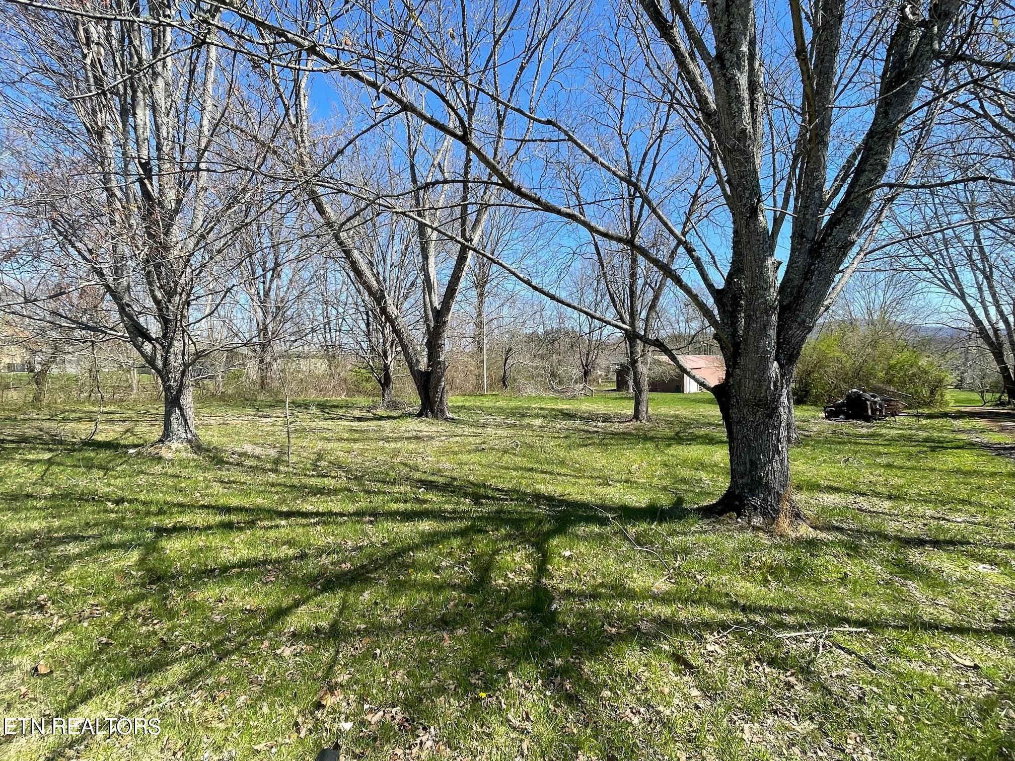 0 Open Range 6.43 Ac Road Crossville, TN 38555 - Photo 6 of 24