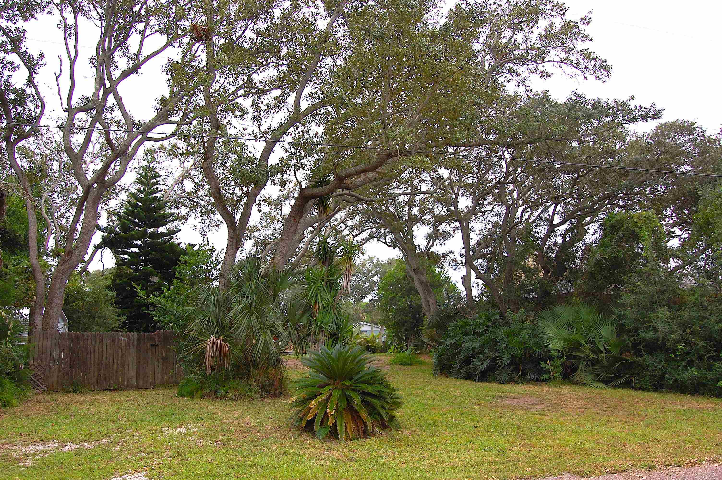 243 Basque Road St. Augustine, FL 32080 - Photo 10 of 16 Gallery Image 10