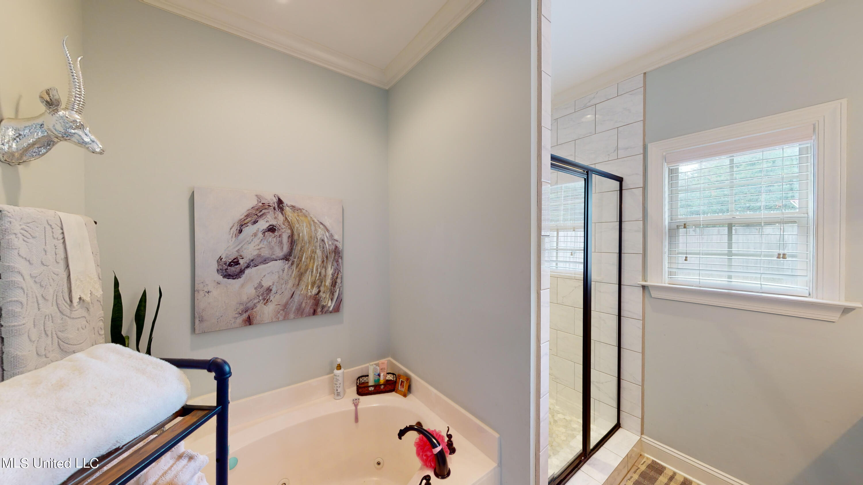 3045 West Jefferson Loop Hernando, MS 38632 - Photo 26 of 43 3046-West-Jefferson-Loop-05272023_164845
