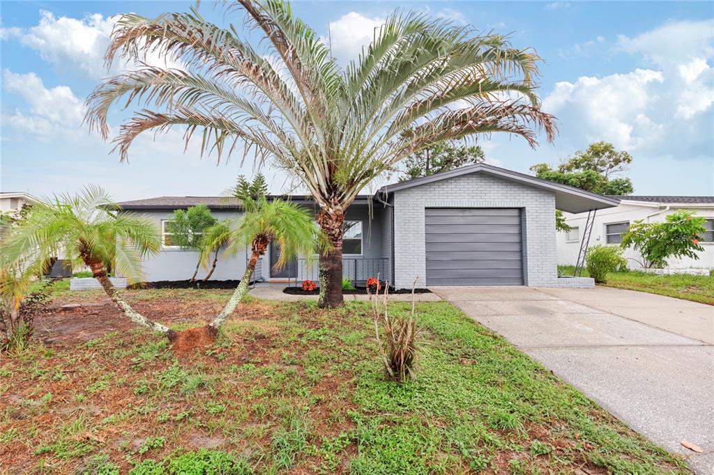 9324 Whitman Lane Port Richey, FL 34668 - Photo 2 of 24