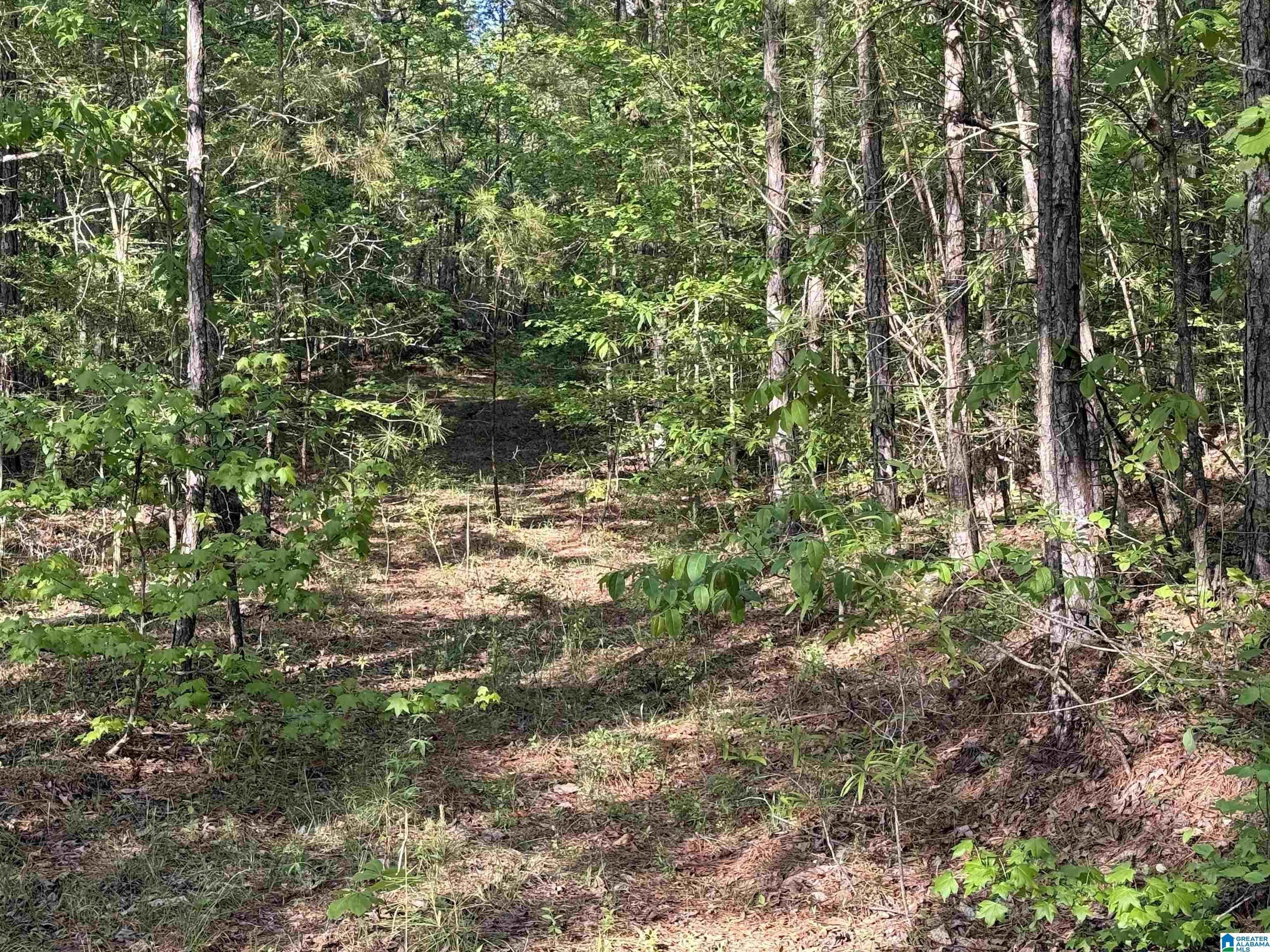0 Piney Woods Road, Unit 3 Vincent, AL 35178 - Photo 1 of 16