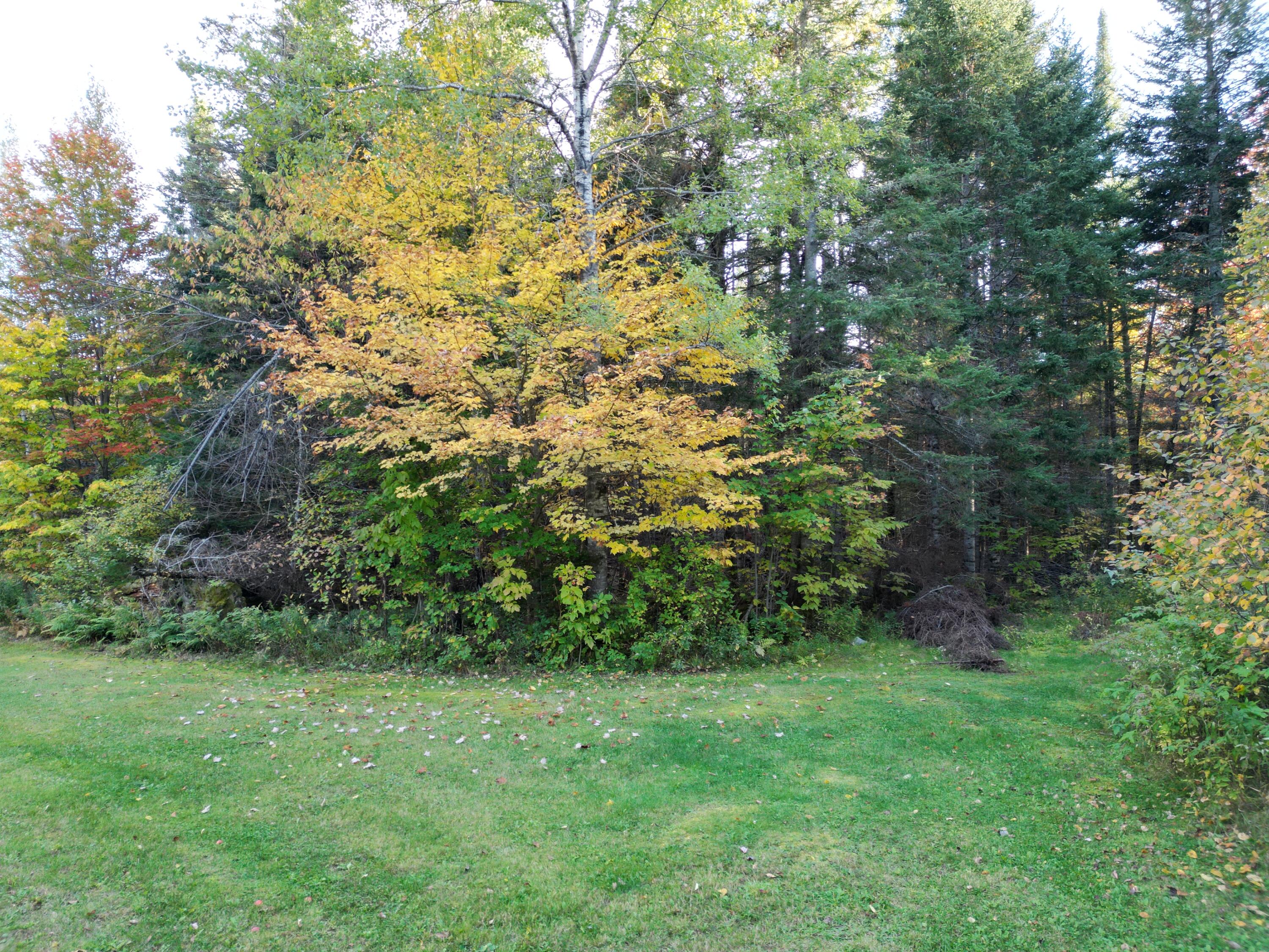 Lot 1-2 West Tucker Ridge Road Springfield, ME 04487 - Photo 4 of 20 DJI_0350