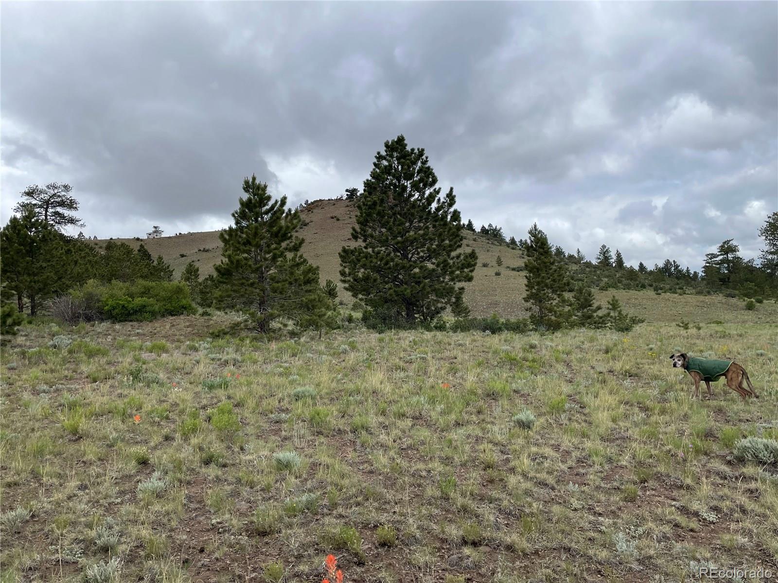9403 Caddo Road Hartsel, CO 80449 - Photo 3 of 12 Gallery Image 3
