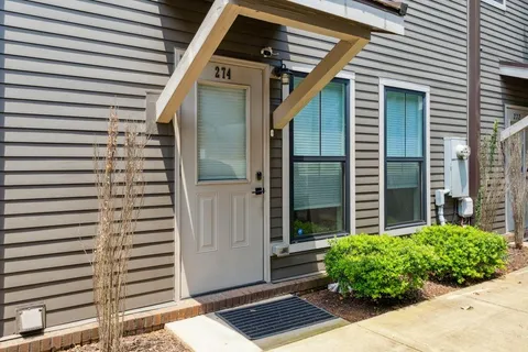 a view of backyard with plants
