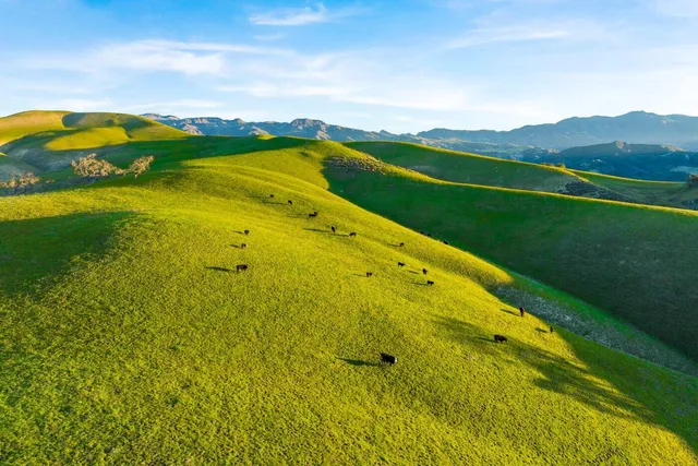 a view of a volley ball court