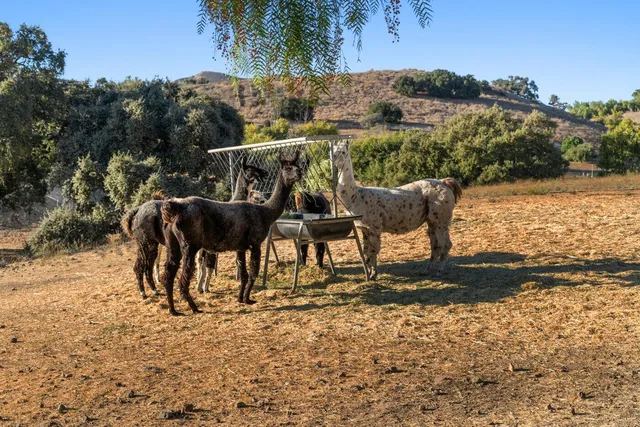 a view of a houses with a lake