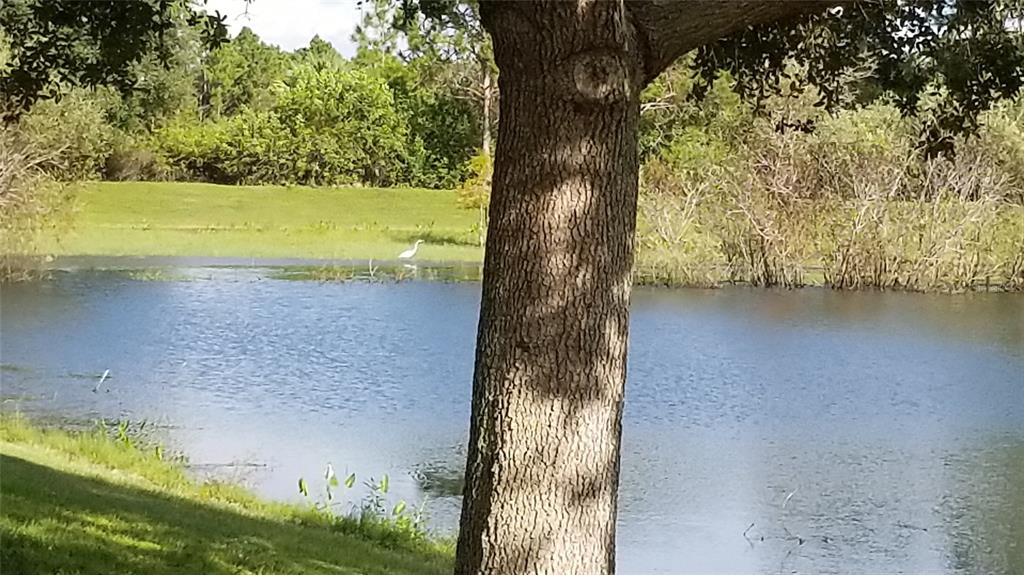 974182714 Irondale Road North Port, FL 34287 - Photo 32 of 41