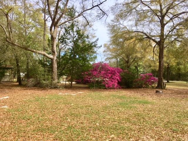 199 Ritzman Road DeFuniak Springs, FL 32433 - Photo 35 of 57 Beautiful Yard