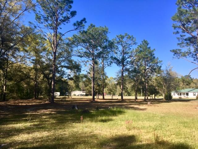 199 Ritzman Road DeFuniak Springs, FL 32433 - Photo 41 of 57 Spacious Back Yard