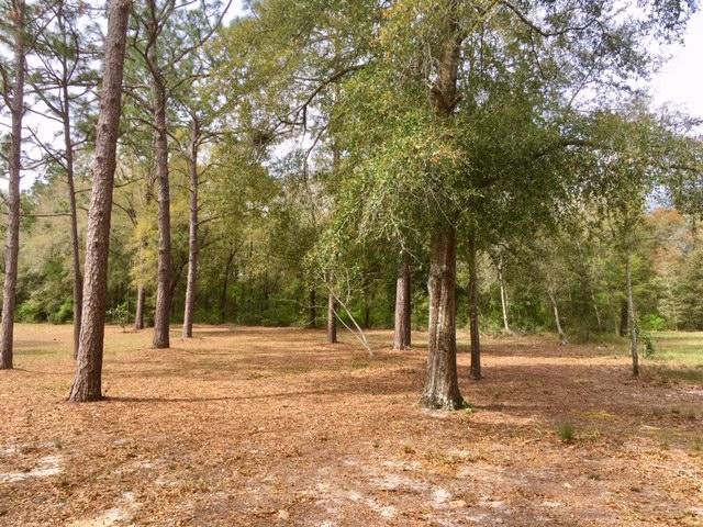 199 Ritzman Road DeFuniak Springs, FL 32433 - Photo 44 of 57 3.3 Acres!