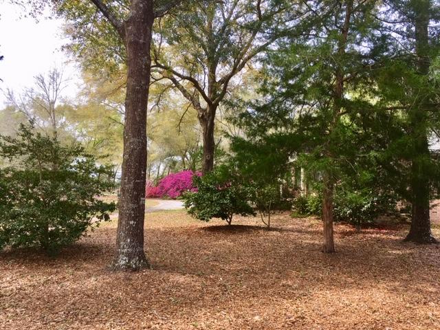 199 Ritzman Road DeFuniak Springs, FL 32433 - Photo 46 of 57 Yard