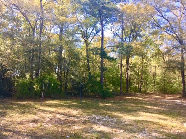 199 Ritzman Road DeFuniak Springs, FL 32433 - Photo 51 of 57 Part of the Acreage is Wooded