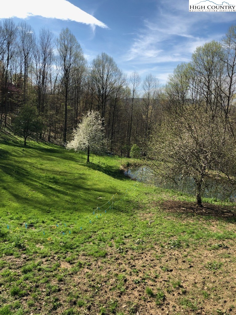 873 Silverleaf Road Zionville, NC 28698 - Photo 45 of 49 a view of a park with large trees