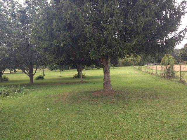 460 Fred Ford Road Crossville, TN 38571 - Photo 15 of 16 20140824214509825420000000-o