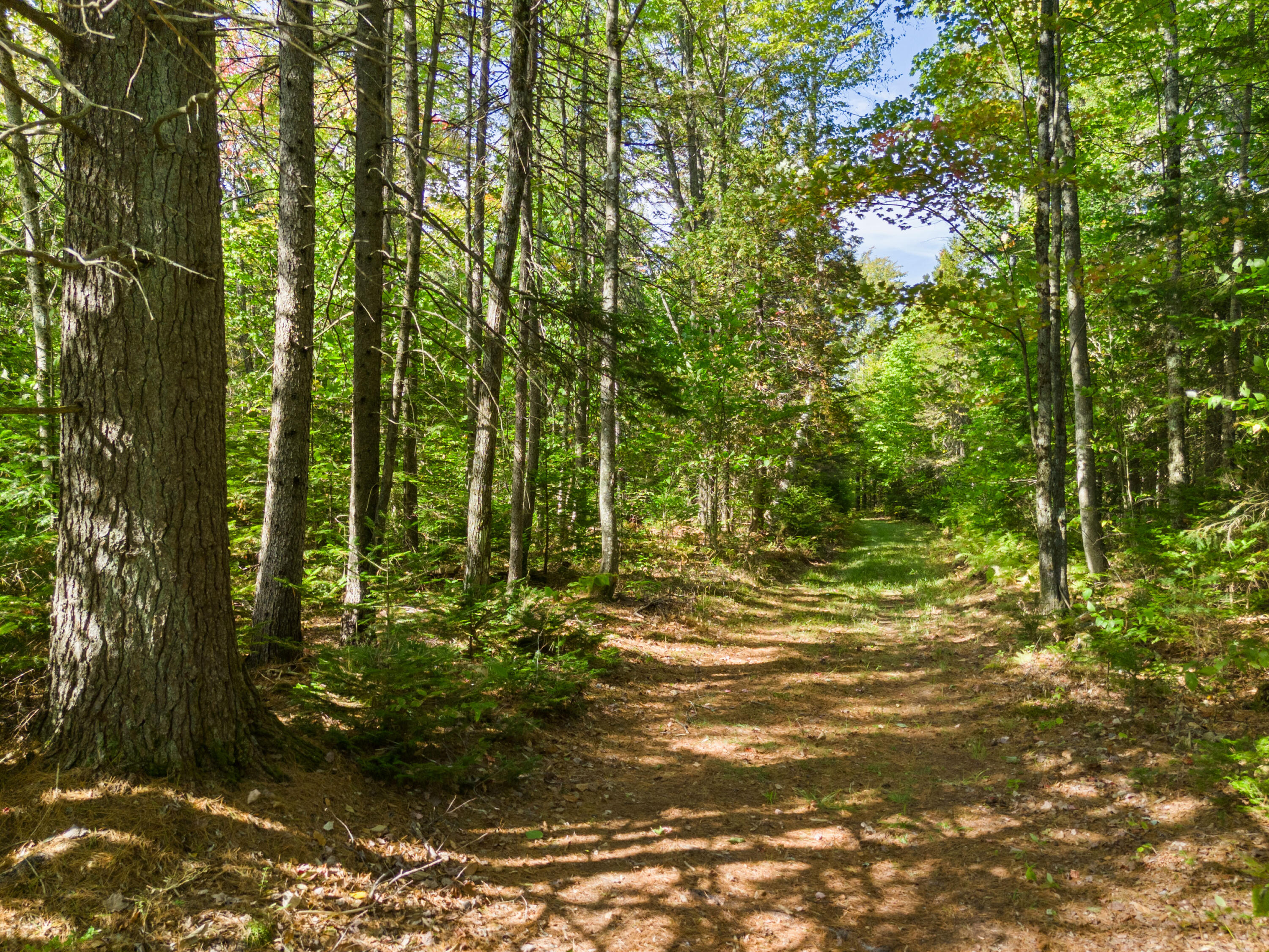 23 Clement Road Parkman, ME 04443 - Photo 42 of 50 Land
