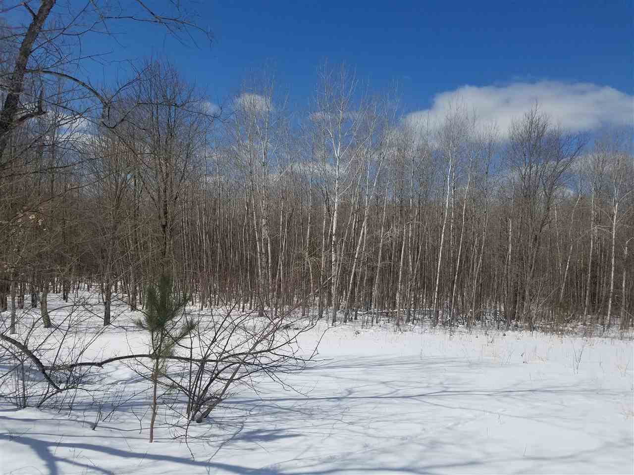 2412 South 15 Road Harrietta, MI 49638 - Photo 18 of 42 1844609-17.JPG